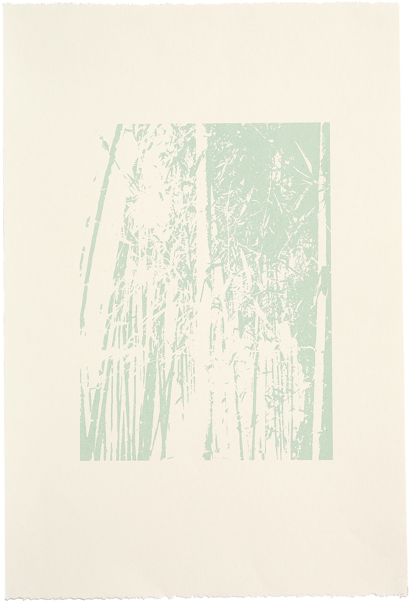 silkscreens, nature, one of a kind prints, printmaking, sisi palmer, art, bamboo forest, green