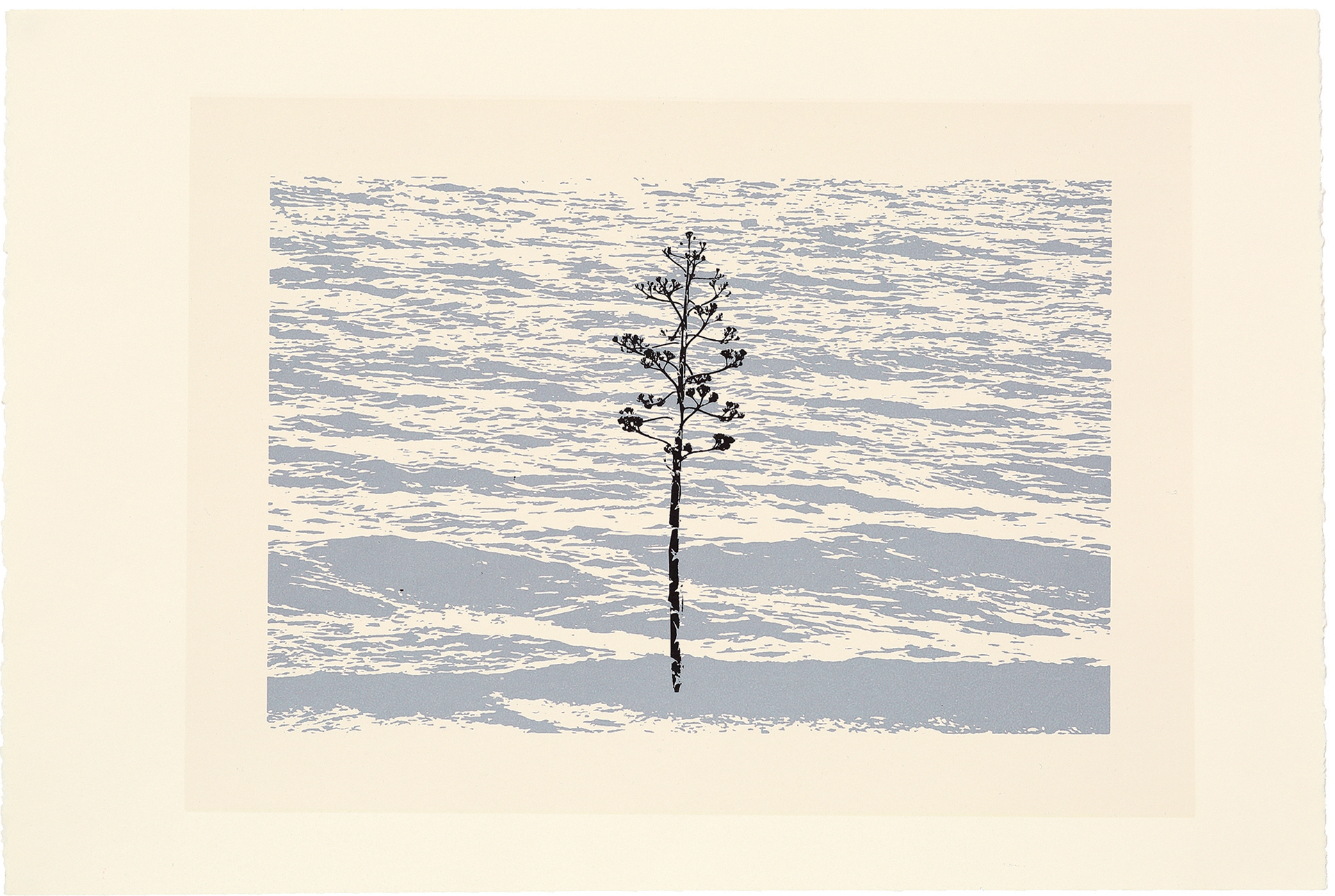 silkscreens, nature, one of a kind prints, printmaking, sisi palmer, art, agave, ocean, waves, sea