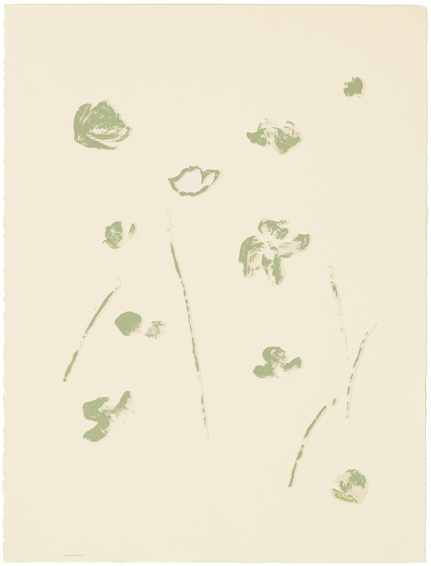 silkscreens, nature, one of a kind prints, printmaking, sisi palmer, art, poppies, green, white