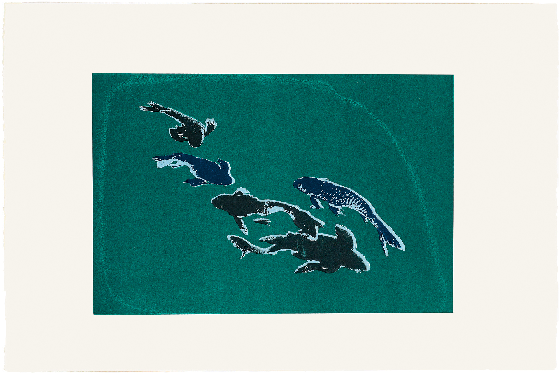 silkscreens, nature, one of a kind prints, printmaking, sisi palmer, art, green, blue, black, fish