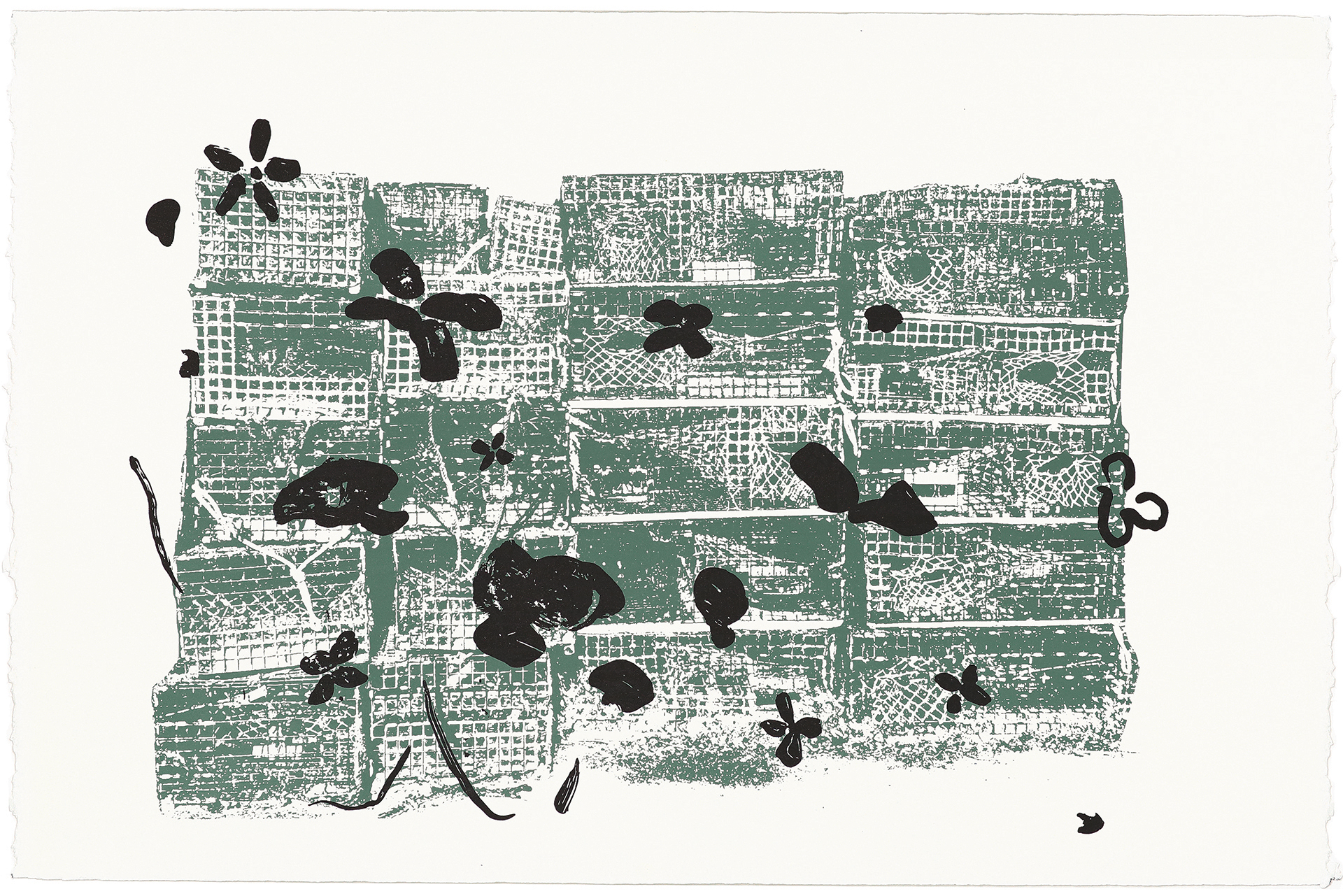 silkscreens, nature, one of a kind prints, printmaking, sisi palmer, art, flower, net