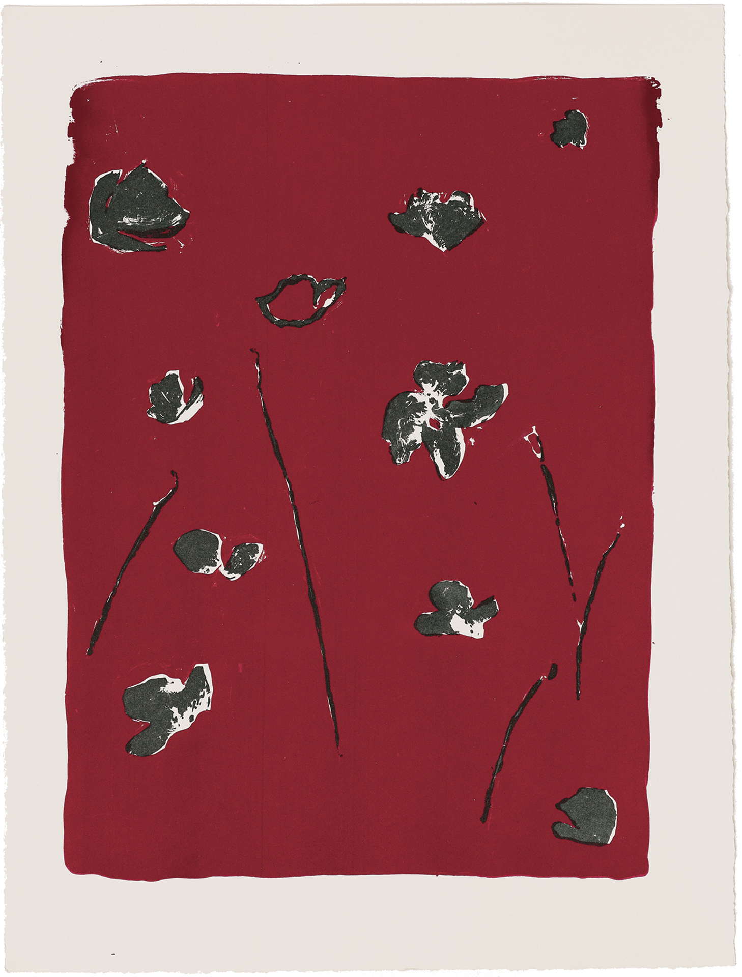 silkscreens, nature, one of a kind prints, printmaking, sisi palmer, art, red, poppies, flowers