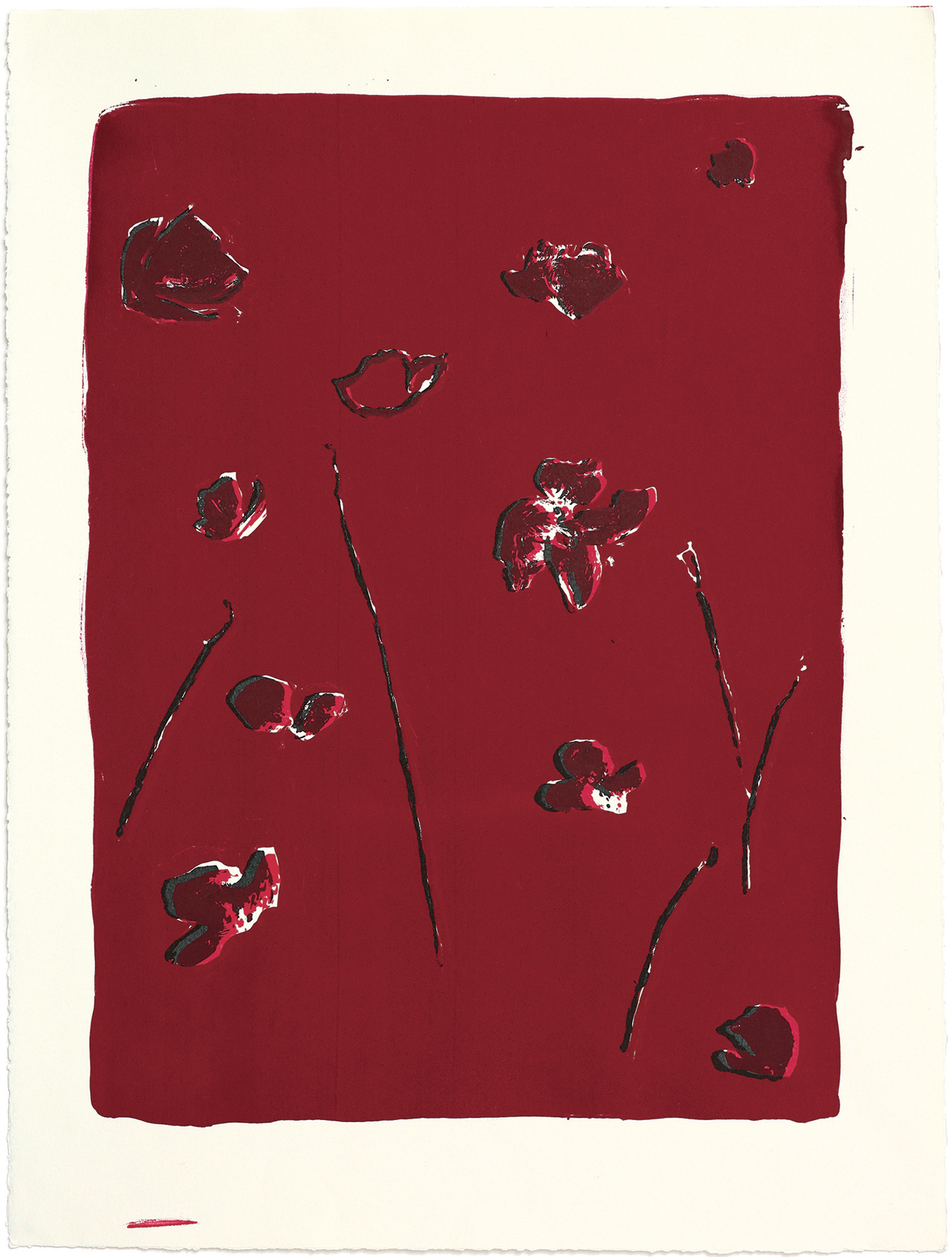 silkscreens, nature, one of a kind prints, printmaking, sisi palmer, art, red, poppies, flowers