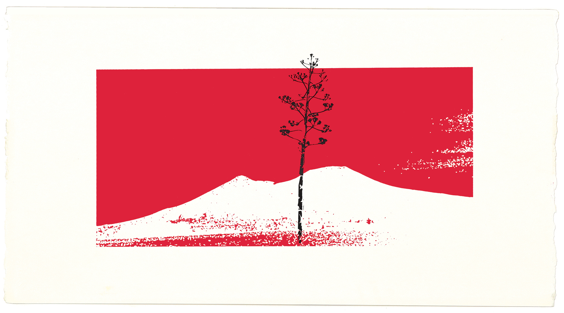 silkscreens, nature, one of a kind prints, printmaking, sisi palmer, art, red, black, white, agave, vesuvio, volcan