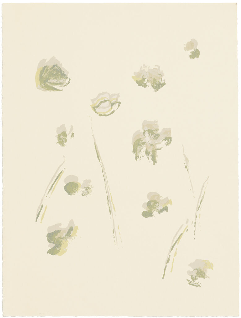silkscreens, nature, one of a kind prints, printmaking, sisi palmer, art, green, poppies, white