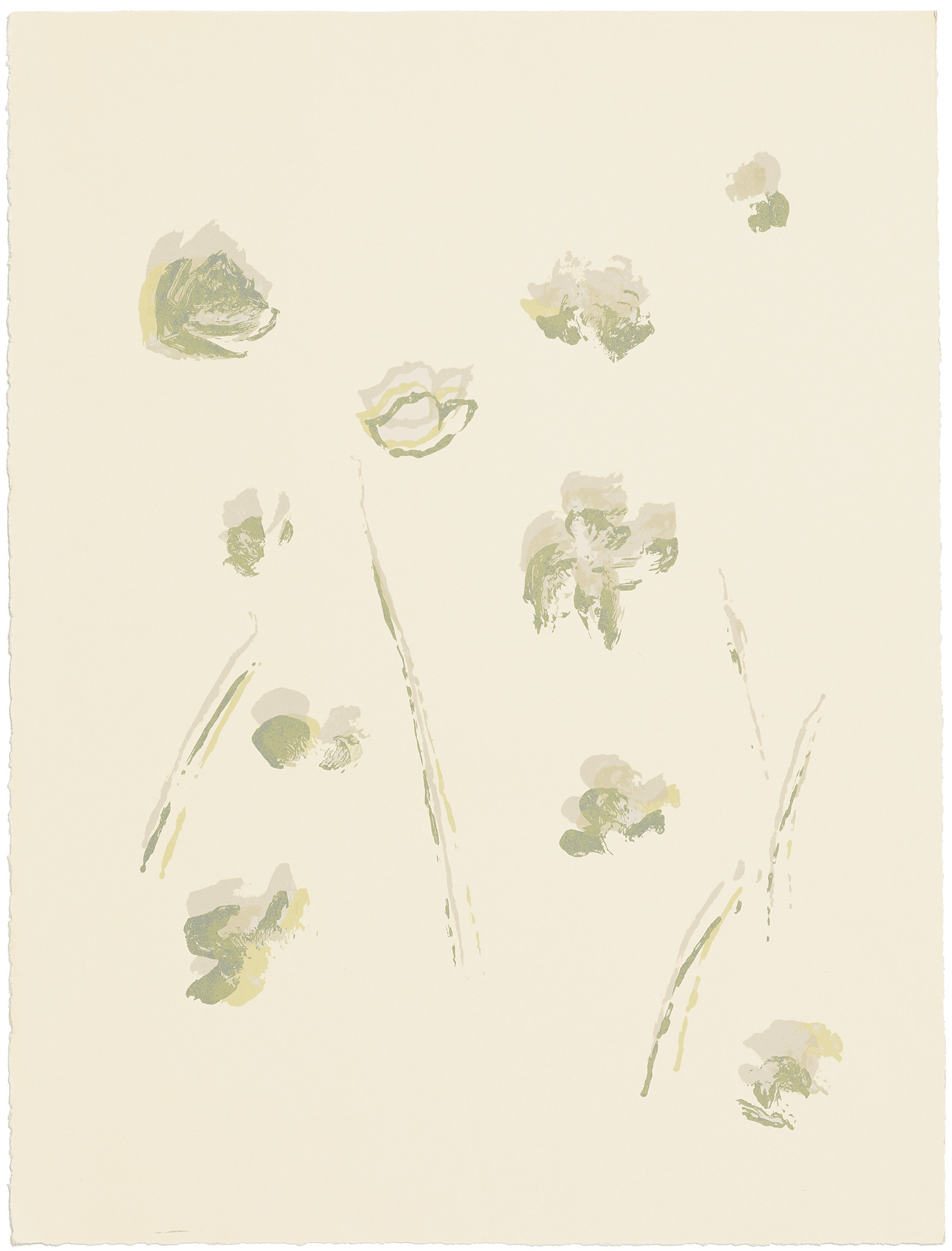 silkscreens, nature, one of a kind prints, printmaking, sisi palmer, art, green, poppies, white