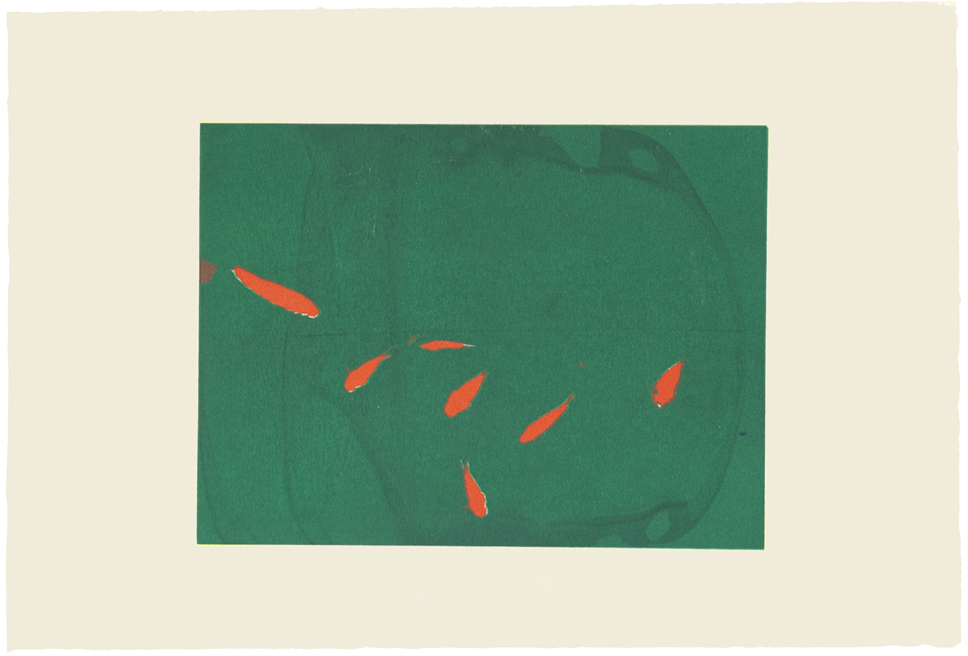 silkscreens, nature, one of a kind prints, printmaking, sisi palmer, art, green, orange, coy