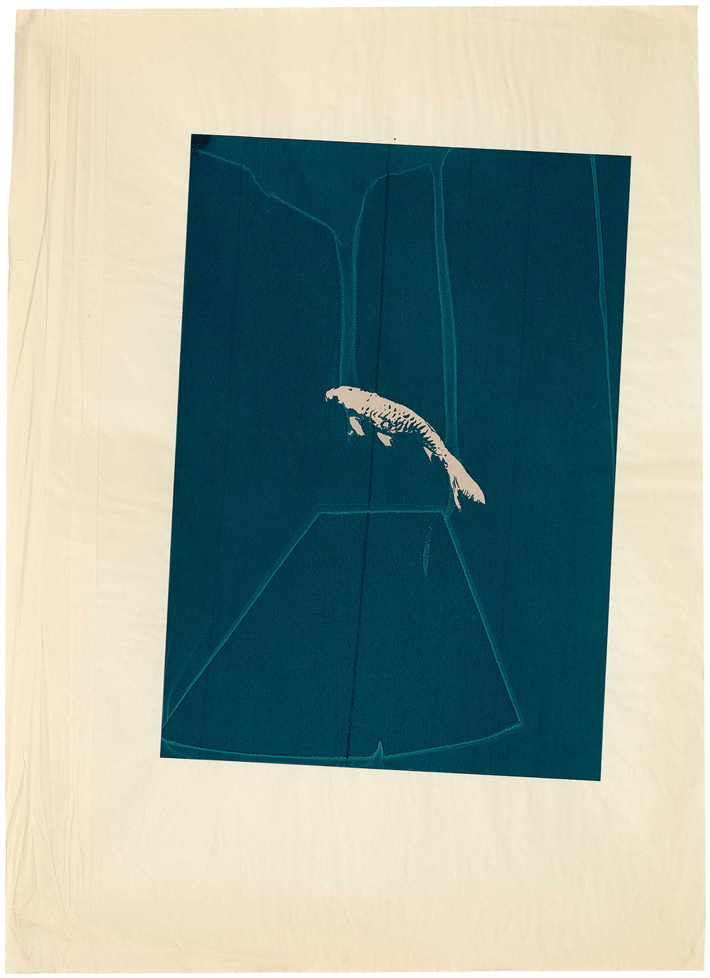 silkscreens, nature, one of a kind prints, printmaking, sisi palmer, art, fish, blue