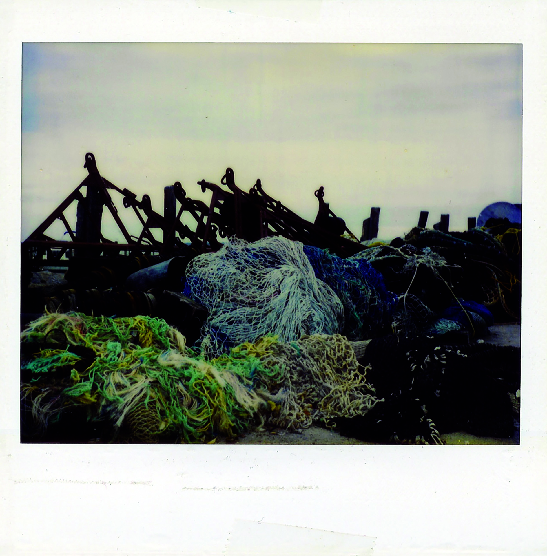 polaroid, photography, instant photography, sisi palmer, art