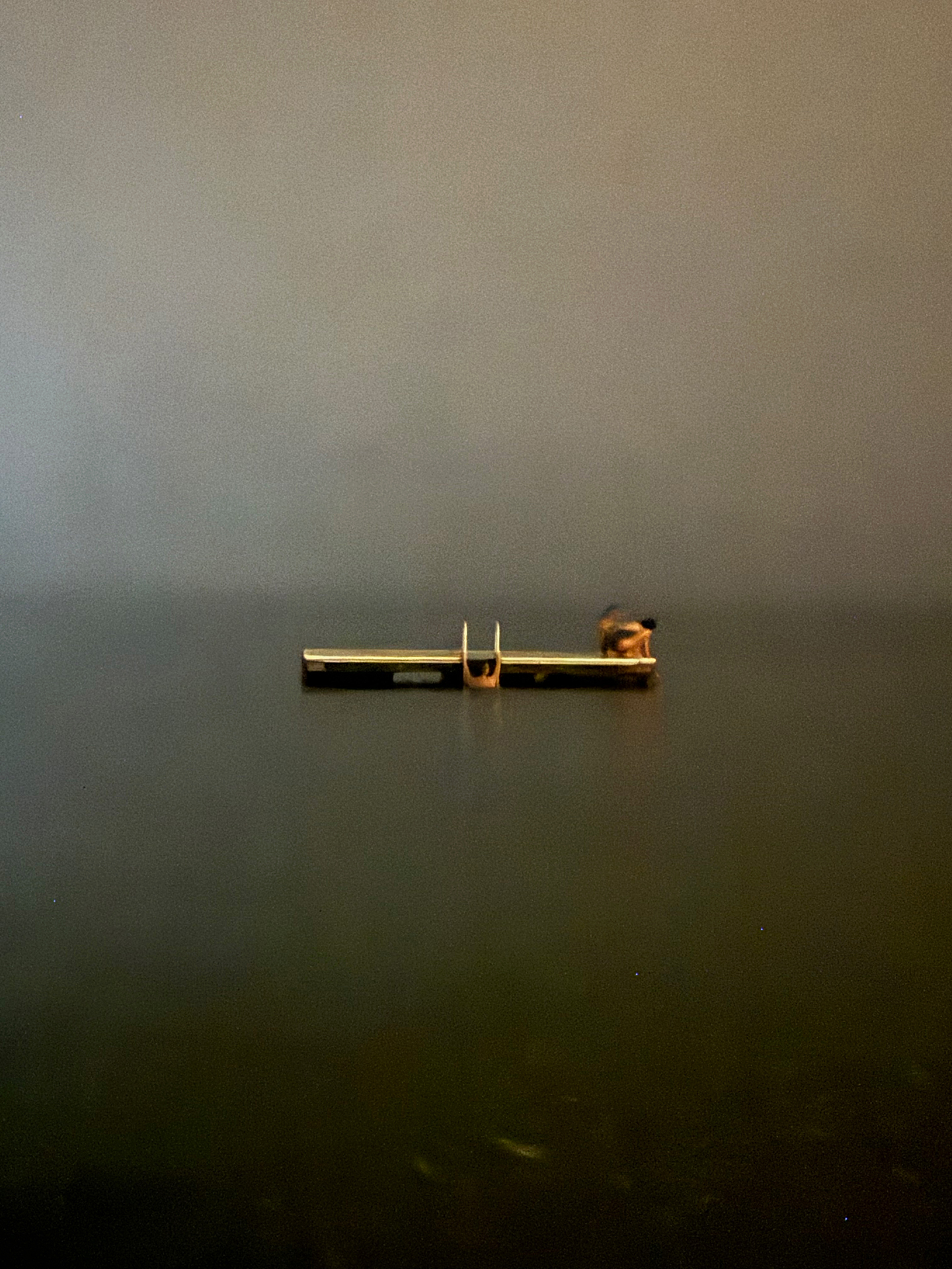 painting like photograph of figures bathing and sitting on a float , climbing ladder, suspended and floating on the sea at night, in darkness, in complete silence and stillness.