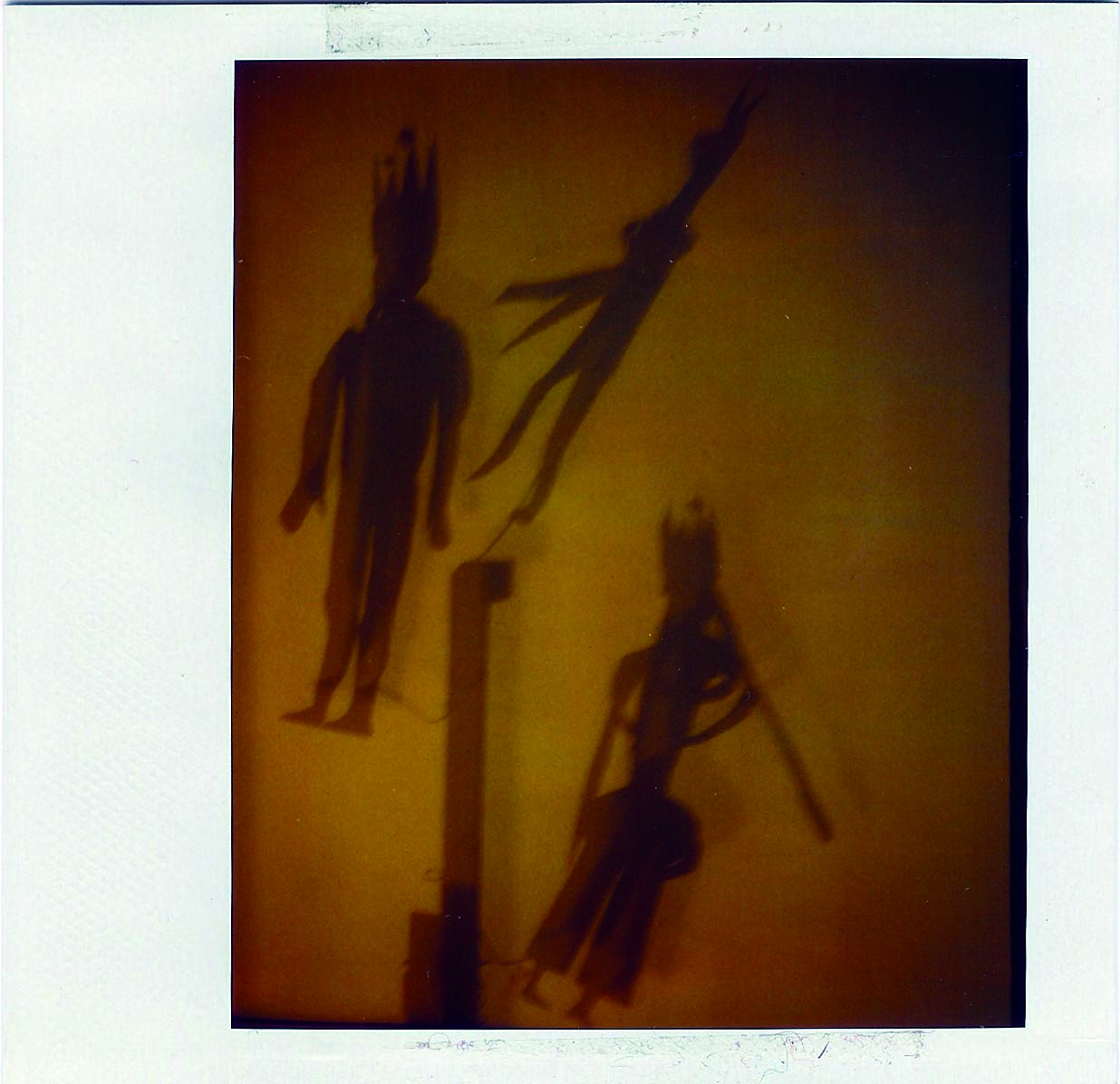 polaroid, photography, instant photography, sisi palmer, art, diary