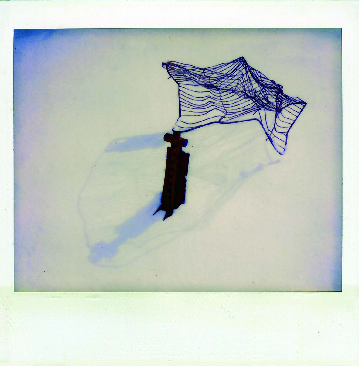 polaroid, photography, instant photography, sisi palmer, art, diary, blue, white, black, veil